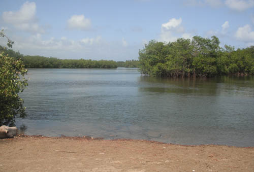 #3 Spectacular Parcel of Beachfront Land in Nagua