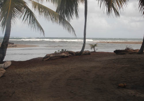 #2 Spectacular Parcel of Beachfront Land in Nagua