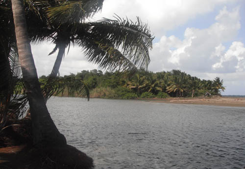 #5 Spectacular Parcel of Beachfront Land in Nagua