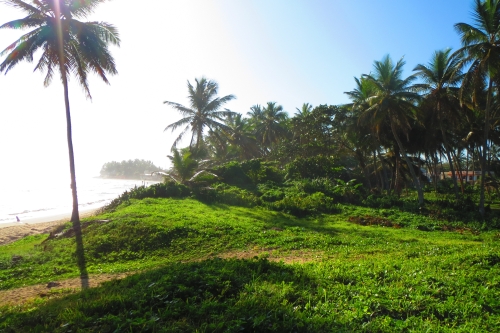 #5 Beachfront property with 3 x 2-Story Houses in Cabarete