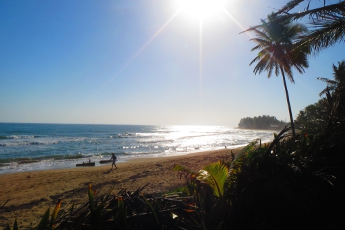 #7 Beachfront property with 3 x 2-Story Houses in Cabarete