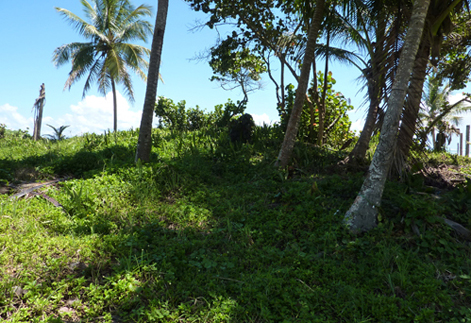 #1 Beachfront property with 3 x 2-Story Houses in Cabarete