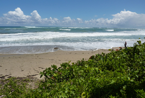 #3 Beachfront property with 3 x 2-Story Houses in Cabarete