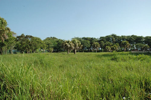 #4 Oceanfront Property Cabarete