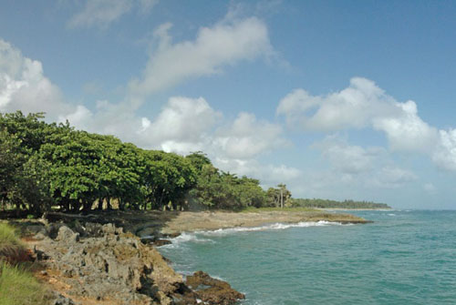 #5 Oceanfront Property Cabarete