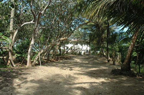 #1 Beachfront property with approx. 30 meters front in Cabarete