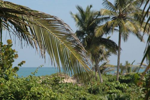 #4 Beachfront property with approx. 30 meters front in Cabarete