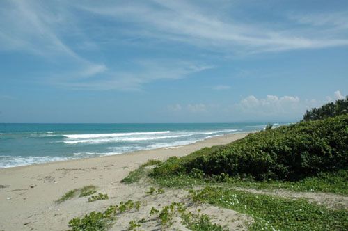#5 Beachfront property with approx. 30 meters front in Cabarete