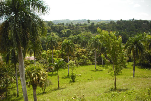 #3 Small Farmland with Marvellous View Sosua