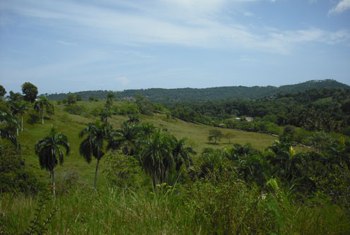 #5 Small Farmland with Marvellous View Sosua