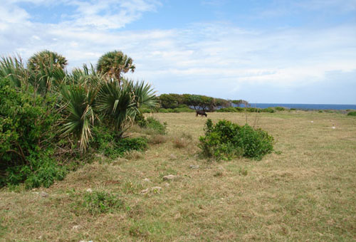 #5 Oceanfront development land at unbeatable price