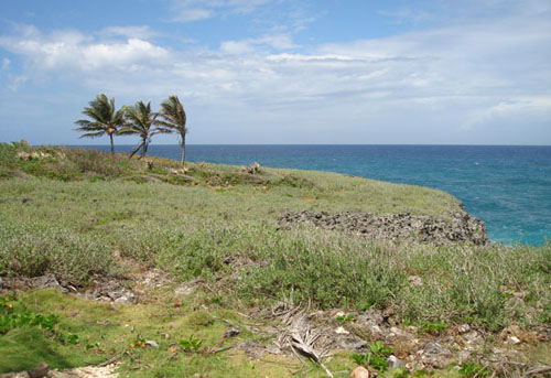 #3 Oceanfront development land at unbeatable price