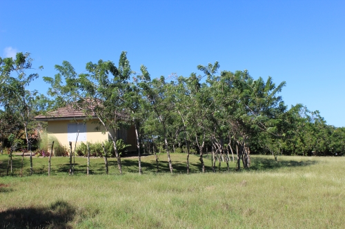 #7 Magnificent oceanview land in a prestigious gated project