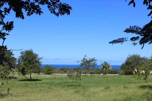 #5 Magnificent oceanview land in a prestigious gated project