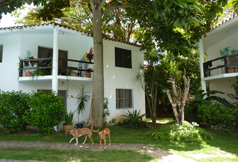 #7 Apartment-Complex in Sosua