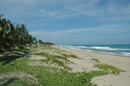 #4 Beachfront Project Opportunity in Cabarete