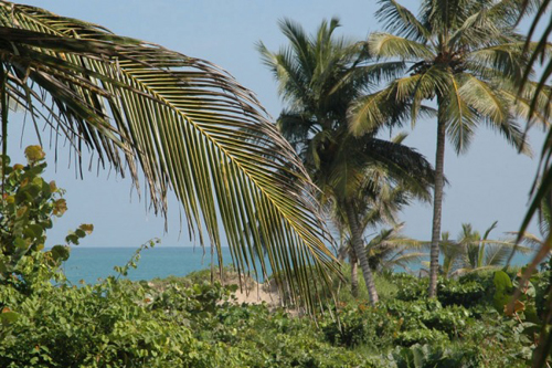 #1 Beachfront Project Opportunity in Cabarete