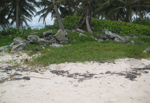 #2 Magnificent beach front land near Punta Cana