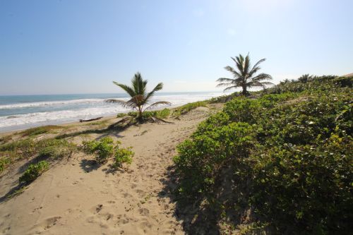 #3 Beachfront Apartment with one bedroom in Cabarete