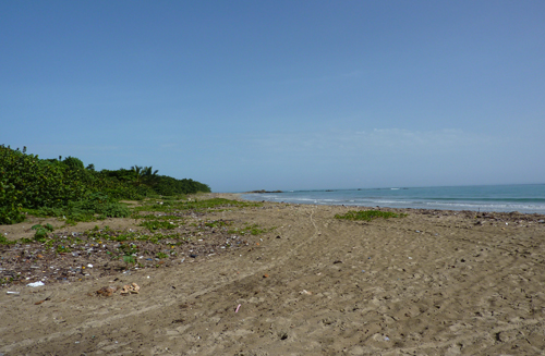 #0 Large Beachfront Parcel for sale