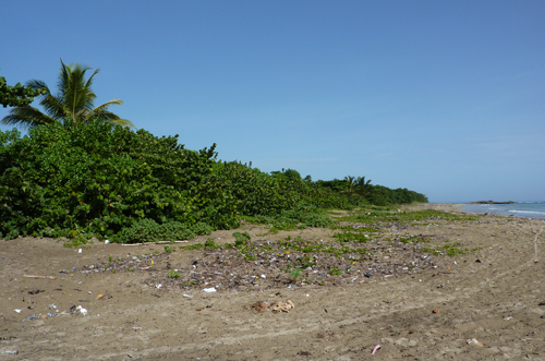 #4 Large Beachfront Parcel for sale