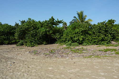 #1 Large Beachfront Parcel for sale