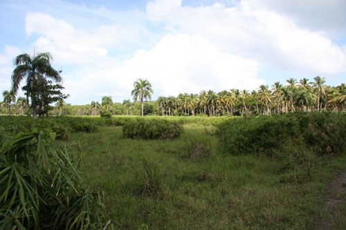 #3 Development Land with 440 Meters Beachfront Rio San Juan