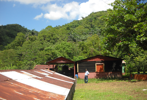 #1 Cacao Production Farms for sale