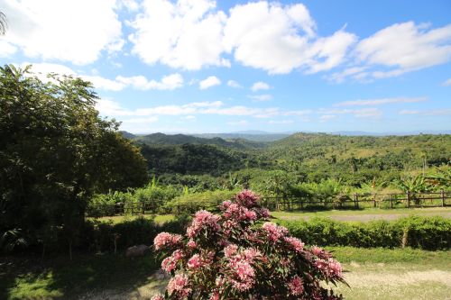 #0 Villa with Panoramic Ocean View