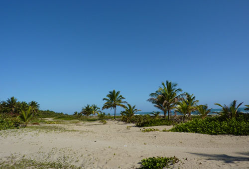 #5 Prime Beachfront Land inside Cap Cana