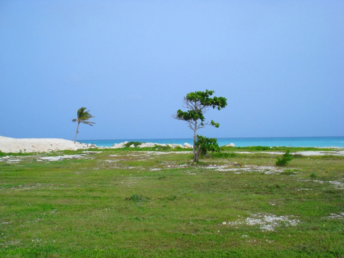 #0 Prime Beachfront Land inside Cap Cana