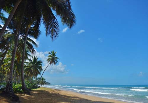 #4 Beachfront land at the beautiful Playa Coson