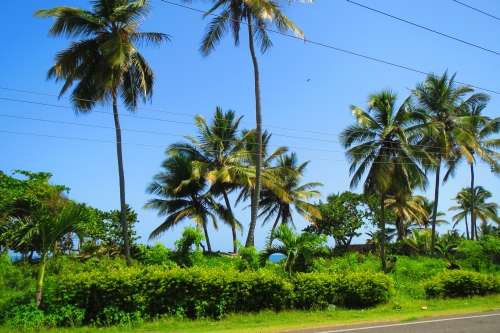 #1 One of the few ocean front lots left in town - Kite Beach Cabarete