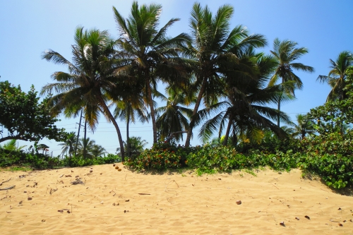 #4 One of the few ocean front lots left in town - Kite Beach Cabarete