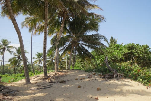 #0 One of the few ocean front lots left in town - Kite Beach Cabarete