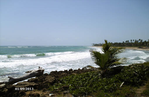 #3 Large Beachfront Development Property in Uvero Alto