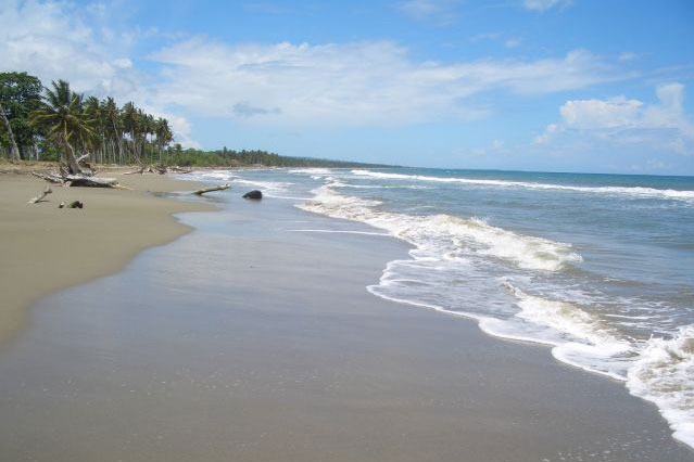 #5 Beachfront Property near Cabarete