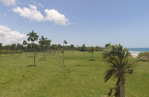 #9 Beachfront Property near Cabarete