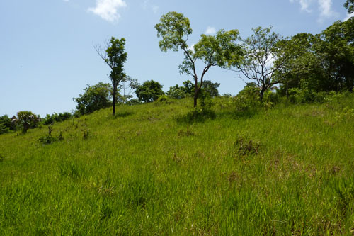 #5 Lot with Ocean View in Sosua