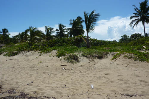 #6 One of the last beachfront parcels in Cabarete