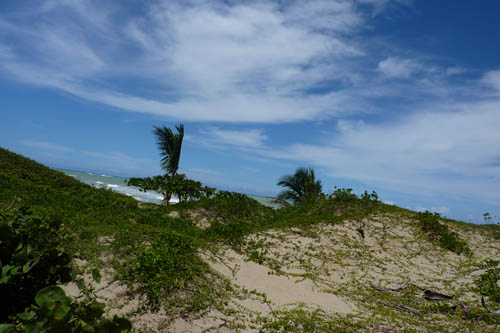 #7 One of the last beachfront parcels in Cabarete