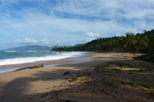 #1 Nice Beachfront land in Samana