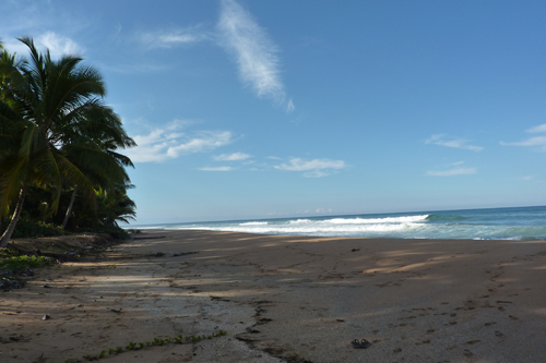 #6 Nice Beachfront land in Samana