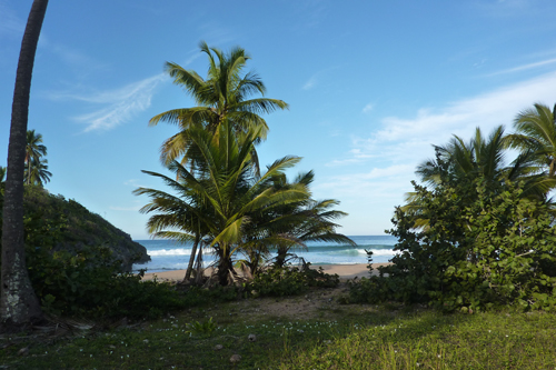 #3 Nice Beachfront land in Samana