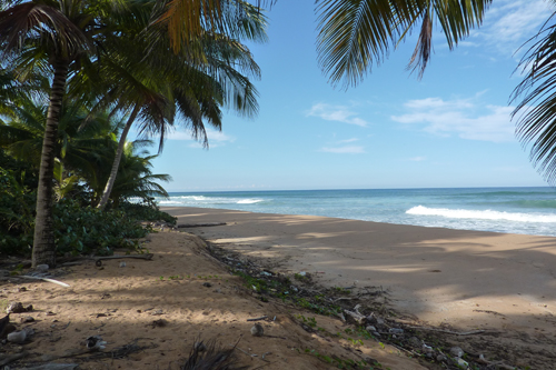 #4 Nice Beachfront land in Samana