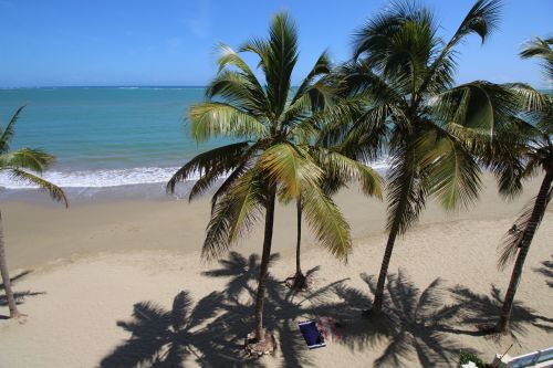 #9 Beachfront Condo in the heart of Cabarete