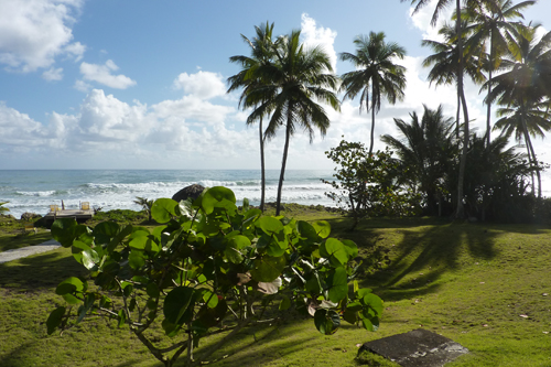 #8 Beachfront Hotel Cabarete Area