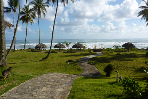 #2 Beachfront Hotel Cabarete Area