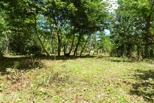 #3 Nice lot in second line beach near Coson Beach