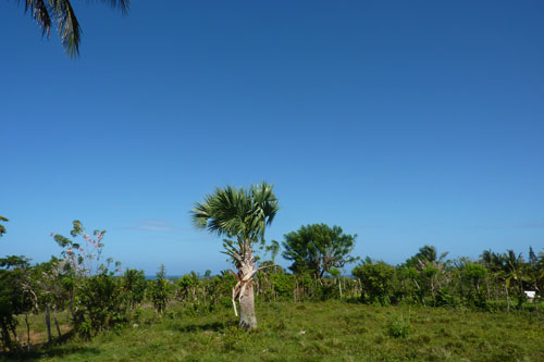 #5 Building Lot with Ocean View in Cabarete